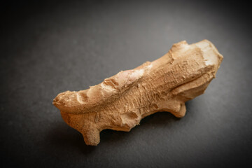 Piece of ginger on dark background. Selective focus.