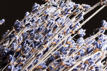 Dry bouquet of lavender on the table