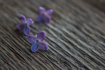 Lilac flowers close up. Old wooden texture