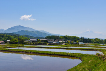 Naklejka premium Fudżi i pole ryżowe 5