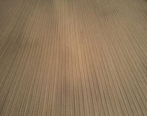 Aerial view of agricultural field