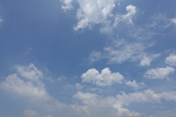 Fototapeta premium 青空