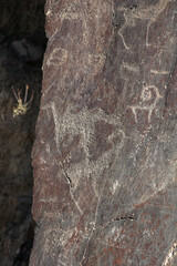 ancient rock drawings, deer, camel, elephant