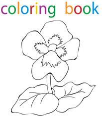  book coloring flower cartoon pansies
