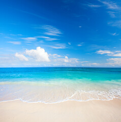 beach and tropical sea