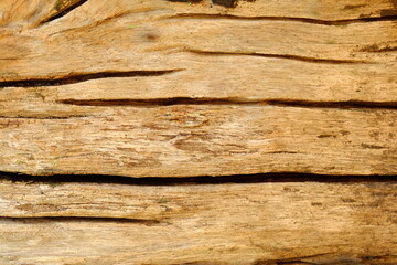 Fototapeta na wymiar Old Wood Board Background.