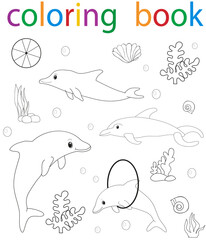  book coloring sea dolphin