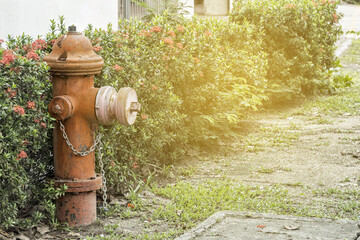 The old fire hydrant in the stadium.