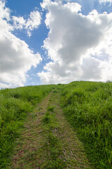 Green hill in Jeju island Korea