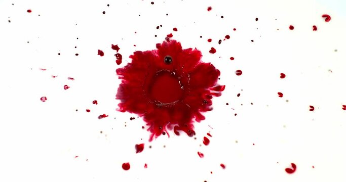 Blood Dripping against White Background, Slow Motion 4K