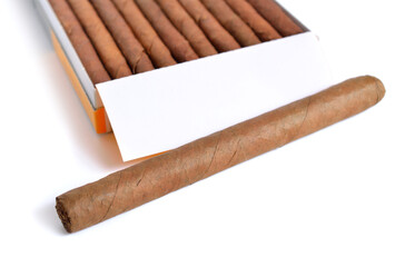 Cigars in the case. Isolated on white background