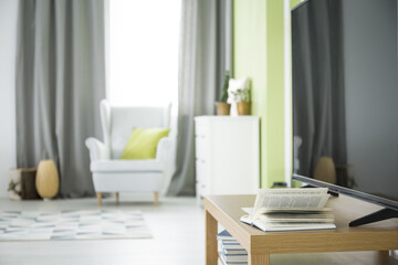 Modern home interior with tv