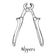 Nippers, hand drawn doodle sketch in pop art style, vector illustration