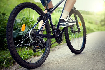 Fototapeta premium teenager riding a bicycle on the road summer sunlit