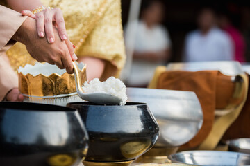 give alms to a Buddhist monk in wedding day, thailand wedding