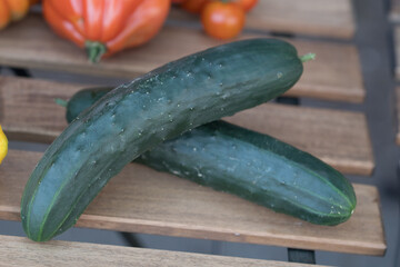 Two green cucumbers