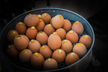 steam egg in pot