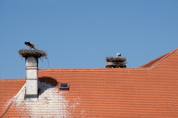 Storchennest in Rust