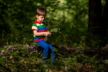 Naklejka na ściany i meble young boy playing in the green forest