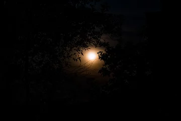 Fototapete Rund moonlight on night time © phoopanotpics