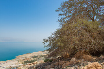 Fototapeta na wymiar Near the oasis of Ein Gedi In the background the Dead Sea in Israel