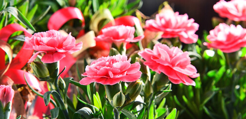 Composition with bouquet of carnations