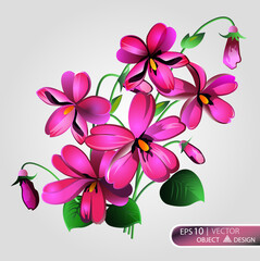 Violet Floral background is isolated on a white background.