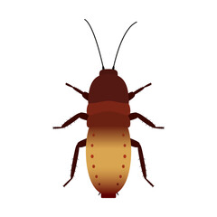Vector colored cockroach