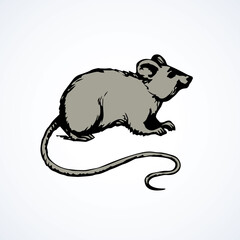 Mouse. Vector drawing