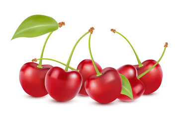 Cherry isolated on white. Sweet fruit. Realistic vector illustration