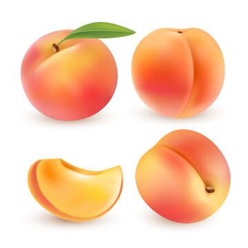 Peach. Sweet fruit. 3d vector icons set. Realistic illustration