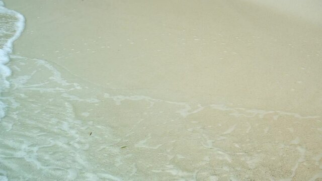 Gentle Waves Washing a White Sand Tropical Beach