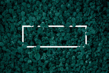 Square frame, Creative layout made with green leaves background. Blank for advertising card or invitation. Nature concept. Summer poster.