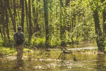 Fishing with tenkara on a small creek. Flyfishing.