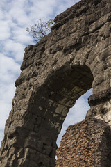 Parco degli acquedotti, Roma