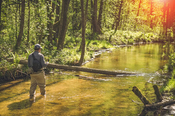 Fishing with tenkara on a small creek. Flyfishing.