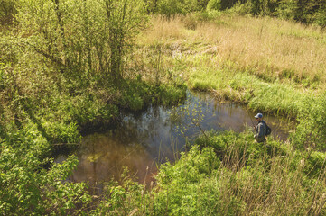 Fishing with tenkara on a small creek. Flyfishing.