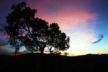 Fototapeta na wymiar Beautiful sunrise landscape.