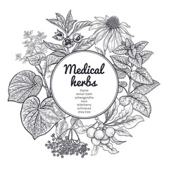 Medical herbs and plants. Black and white card. - obrazy, fototapety, plakaty