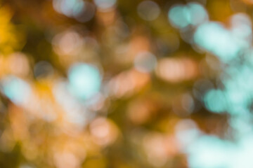 soft blur background take by lens blur