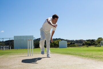 Bowler delivering ball during cricket match - Powered by Adobe