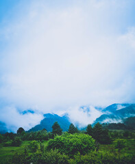 Photo depicting beautiful a foggy mystic mountains. Fog clouds at the pine tree mystical woods, morning. Europe, mysterious alps landscape.