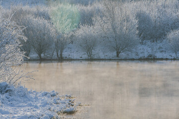 frosty morning