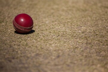 High angle view of cricket ball