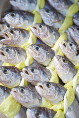 dried yellow corvina 