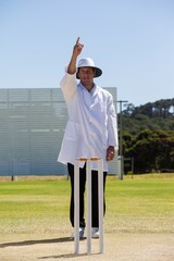 Cricket umpire signalling out during match