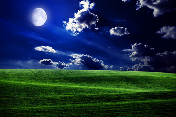 Fototapeta premium green night field. star sky