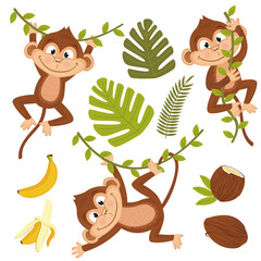 Obraz premium zestaw na białym tle małpa z roślinami i owocami - ilustracja wektorowa eps
