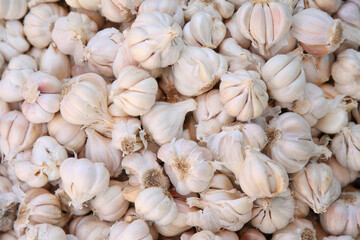 piles of Garlic