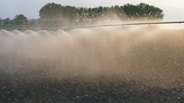 Watering of cultivated field in early spring, irrigation equipment spraying water in sunset, early spring